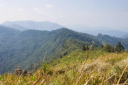 Phu Chi Fa Forest Park 1 Scaled