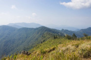 Phu Chi Fa Forest Park 2 Scaled