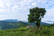 Phu Chi Fa Forest Park 3 Scaled
