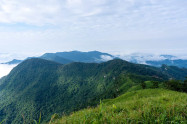 Phu Chi Fa Forest Park 5 Scaled