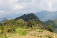 Phu Chi Fa Forest Park 8 Scaled