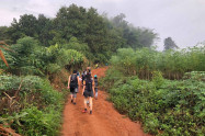 Chiang Rai Trekking 4 Scaled