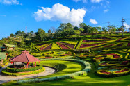 Doi Mae Salong 4 Scaled