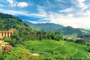 Doi Mae Salong 6