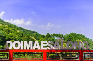 Doi Mae Salong 8 Scaled