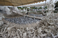 Wat Rong Khun White Temple 09