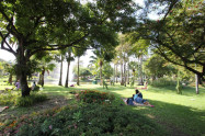 Nong Buak Hard Public Park 05