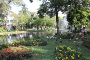 Nong Buak Hard Public Park 10