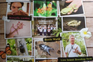 Siam Insect Zoo 01