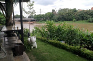 Ping River 04