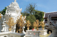 Wat Ram Poeng 07