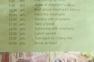Chiang Mai Elephant Care Project 01