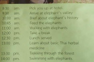 Chiang Mai Elephant Care Project 02