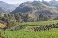 Doi Ang Khang 04