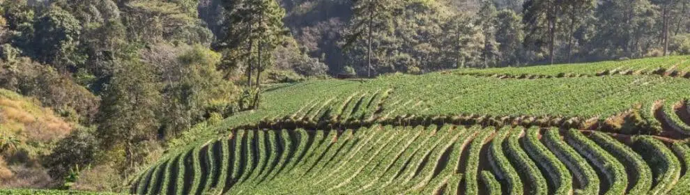 Doi Ang Khang