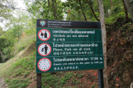 Huay Kaew Waterfall 03