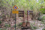 Huay Kaew Waterfall 07