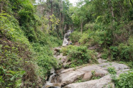Huay Kaew Waterfall 08
