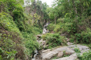 Huay Kaew Waterfall 09