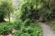 Huay Kaew Waterfall 14