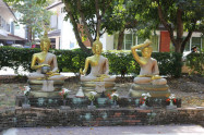 Wat Ched Yot 01
