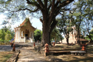 Wat Ched Yot 06