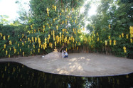 Wat Phan Tao 05 2
