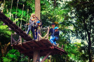 Flight Of The Gibbon 02