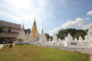 Wat Suan Dok 03