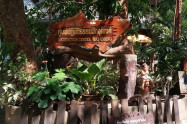 Wat Umong 06