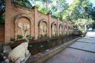 Chiang Mai Zoo 01