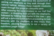 Elephant Jungle Sanctuary 04