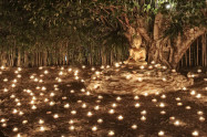 Makha Bucha Day 01