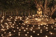 Makha Bucha Day 02