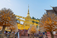 Makha Bucha Day 09