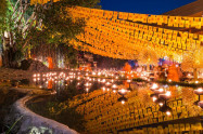 Makha Bucha Day 10