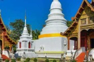Traditional Thai temple with ornate roofs and white chedi in Chiang Mai.