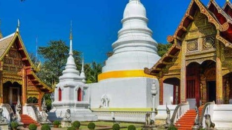 Traditional Thai temple with ornate roofs and white chedi in Chiang Mai.