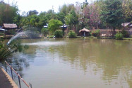 Pai Piranha Fishing Park 06