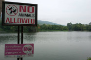 Ang Kaew Reservoir 11