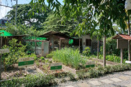 Baan Kang Wat 12 1