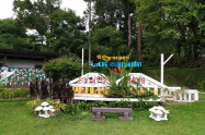 Doi Khun Tan National Park 08