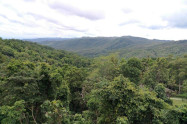 Doi Khun Tan National Park 12