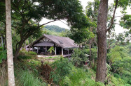 Doi Khun Tan National Park 13