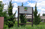 Go Bee Fishing Park 03