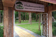 Huay Kaew Aboretum 01