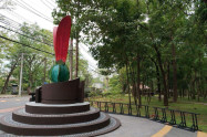 Huay Kaew Aboretum 10