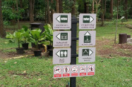 Huay Kaew Aboretum 12