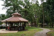 Huay Kaew Aboretum 14