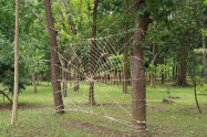 Huay Kaew Aboretum 15